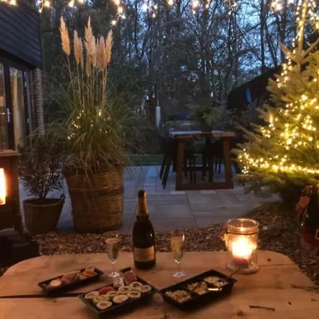 別荘 Sfeervolle Boslodge Met Hottub En Veranda ノールトウェイケルハウト　