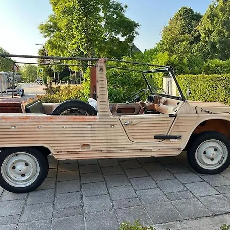 Sfeervolle Boslodge Met Hottub En Veranda * Noordwijkerhout